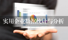 实用企业数据统计与分析